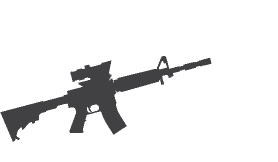 M16 / AR15
